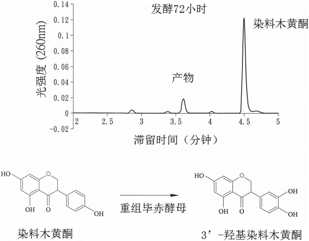 太阳成tyc7111