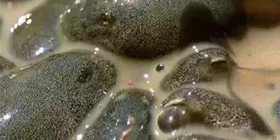 太阳成集团tyc7111cc