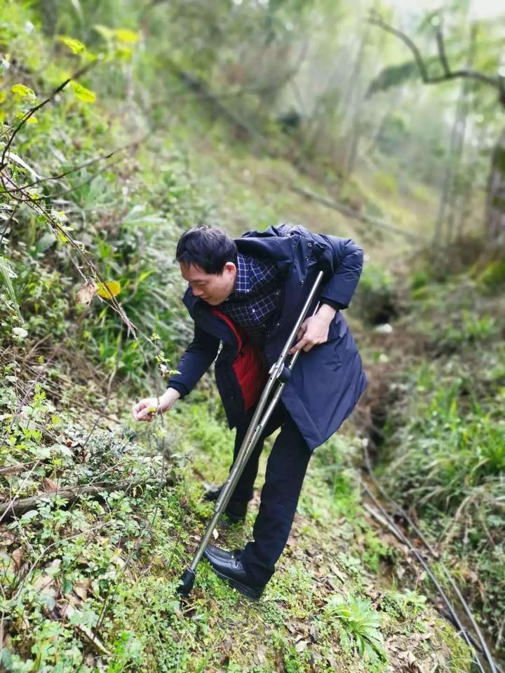 太阳成集团tyc7111cc|甲流疑似患者半小时可确诊有助于早期识别(图1) 太阳成tyc7111