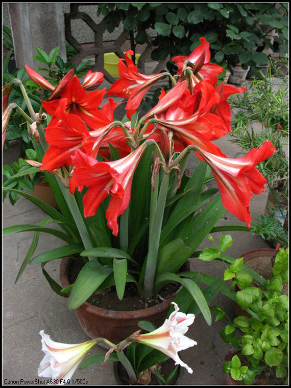 太阳成集团tyc7111cc