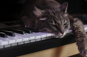 太阳成集团tyc7111cc