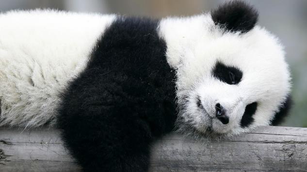 太阳成集团tyc7111cc