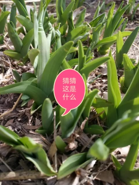 太阳成tyc7111-赛螃蟹的做法有哪些?这样做味道才正宗!(图2) 太阳成tyc7111