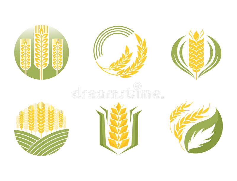 太阳成tyc7111cc_黄柿子结出幸福果(图1) 太阳成集团tyc7111cc