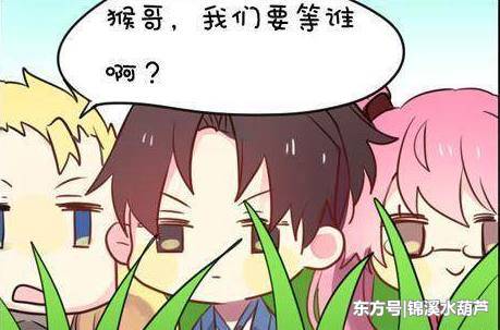 太阳成tyc7111cc_黄柿子结出幸福果(图3) 太阳成tyc7111