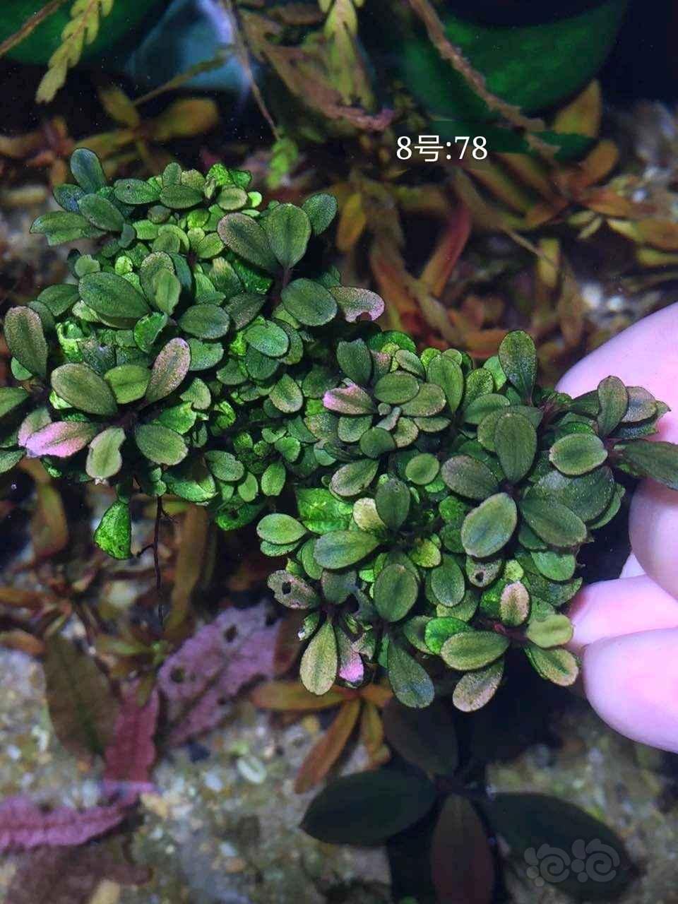 太阳成集团tyc7111cc