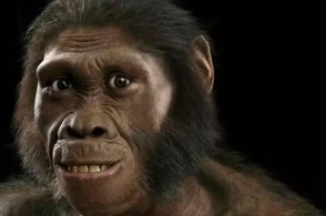 太阳成集团tyc7111cc