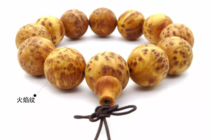 太阳成集团tyc7111cc