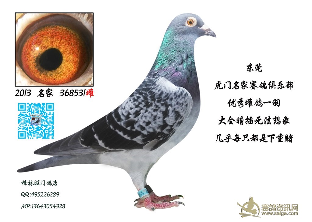 太阳成集团tyc7111cc