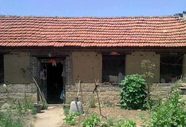 太阳成集团tyc7111cc|睡前吃水果好吗 睡前吃什么水果(图2) 太阳成tyc7111