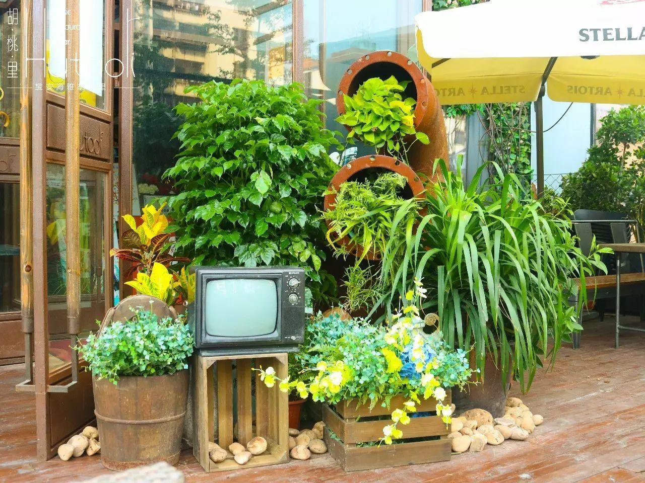 太阳成集团tyc7111cc|世卫组织下周出台应对埃博拉疫情战略计划(图3) 太阳成tyc7111