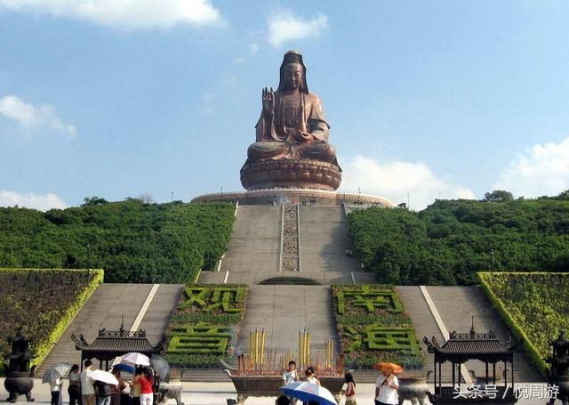 太阳成集团tyc7111cc-天使还是恶魔?中医专家解读名贵动物中药(图1) 太阳成tyc7111cc