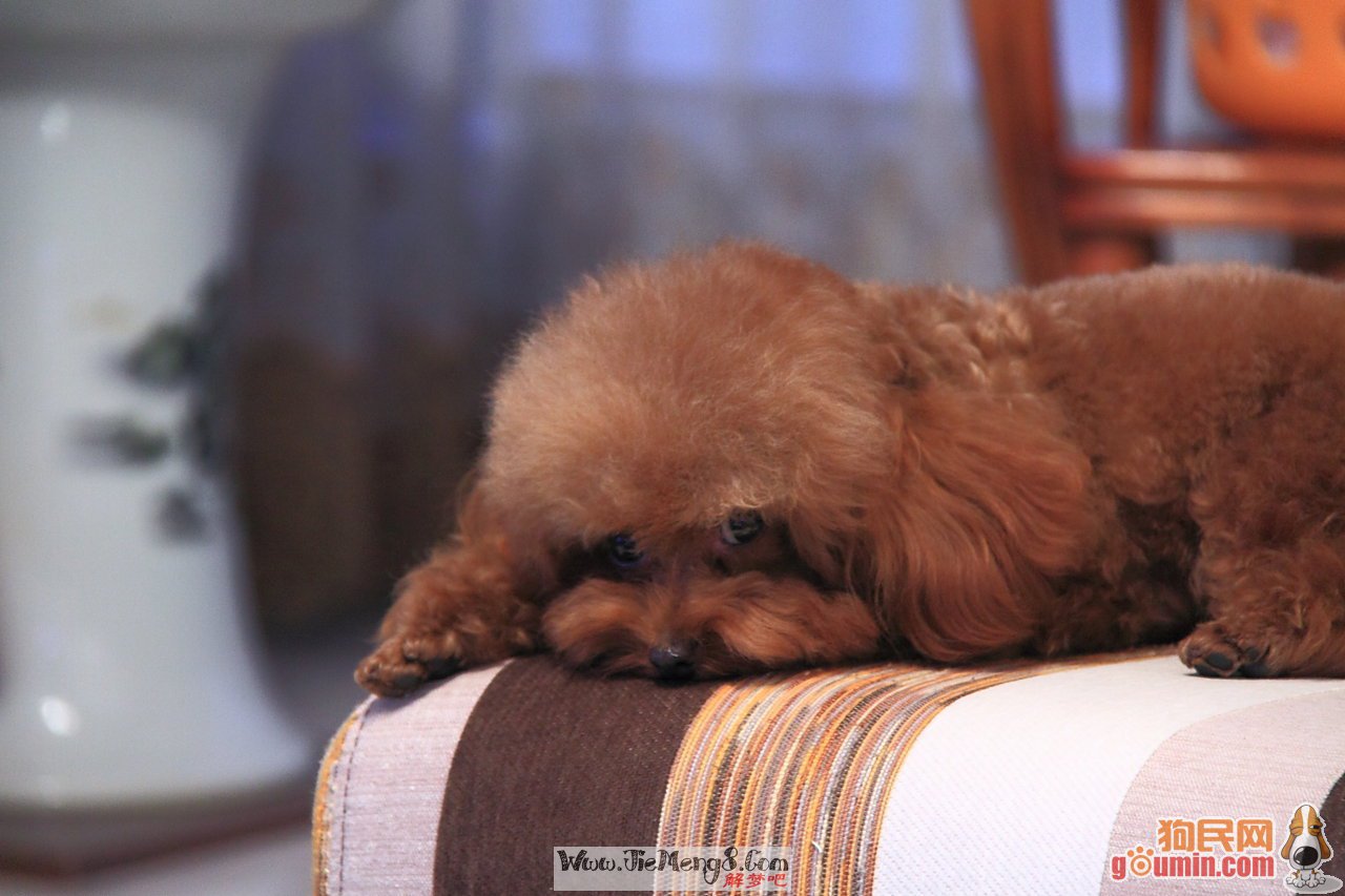 杜绝“路怒症”,功夫要用在平时‘太阳成集团tyc7111cc’(图2) 太阳成tyc7111