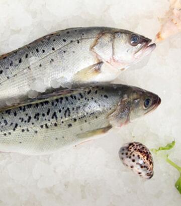 太阳成集团tyc7111cc