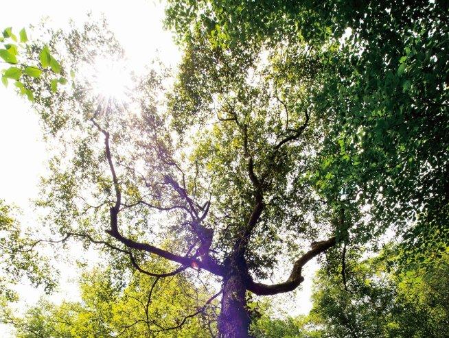 太阳成集团tyc7111cc