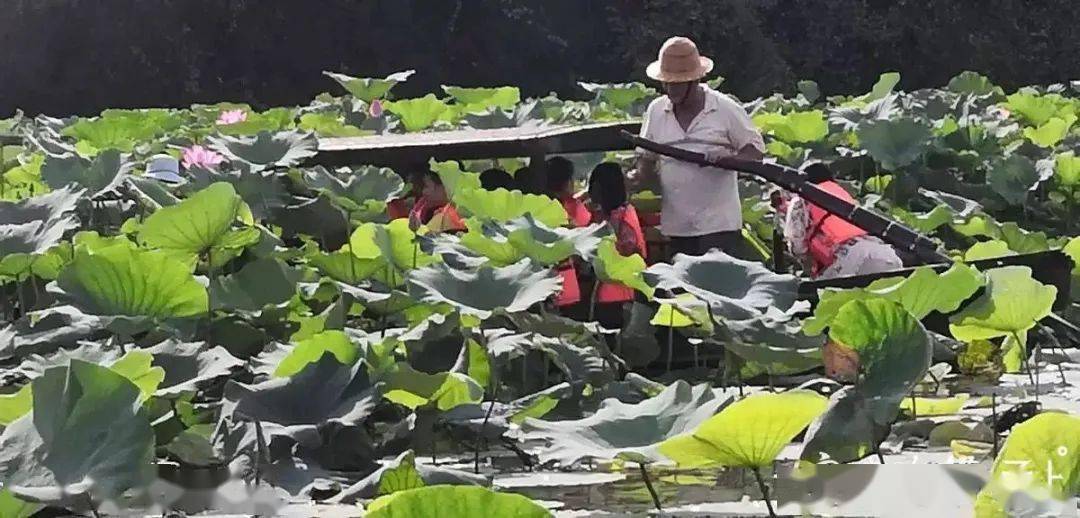 
真精彩！来看宁波中小学生暑期社会实践生活的多彩姿势‘太阳成tyc7111cc’(图3)