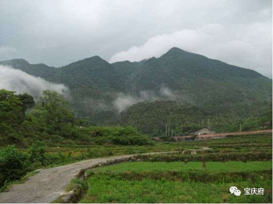 关爱医务人员,我们看到了实招“太阳成集团tyc7111cc”(图4) 太阳成tyc7111cc