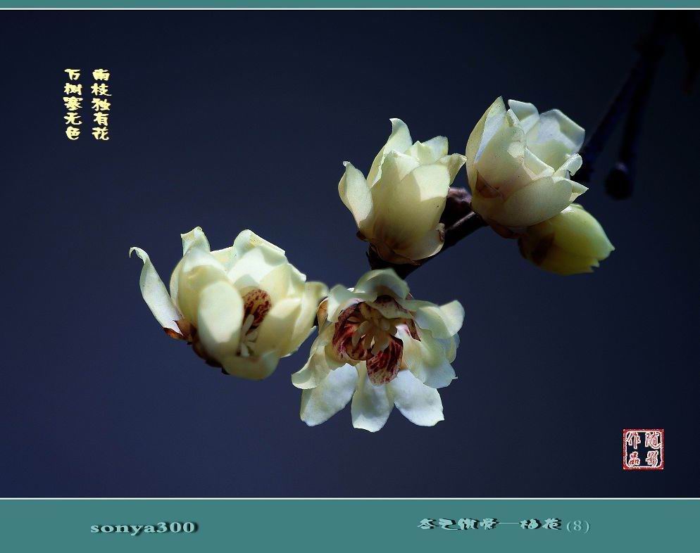 教师节,以“三十而立”的名义重申尊师重教-太阳成tyc7111(图2) 太阳成tyc7111cc