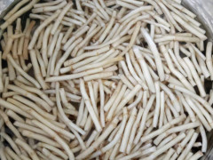 太阳成tyc7111:农业部加强秋熟作物病虫防控努力实现“虫口夺粮”保丰收(图1) 太阳成tyc7111cc