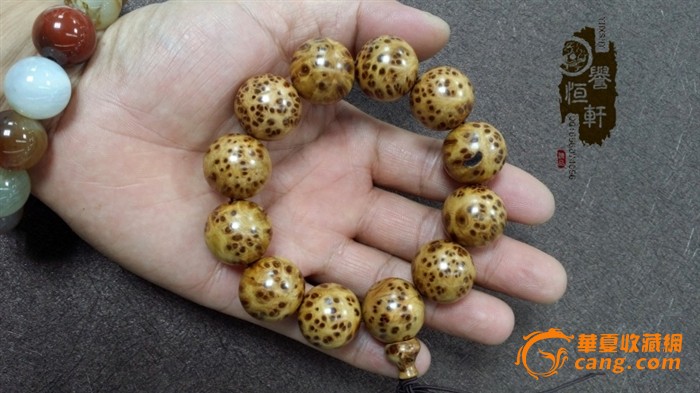 ‘太阳成tyc7111’
【固安新闻】2020年12月31日(图4) 太阳成tyc7111cc