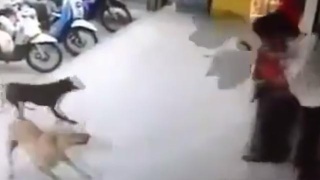 太阳成tyc7111cc-宝马/MINI/摩托车下调指导价 最高降3.2万(图3) 太阳成tyc7111cc