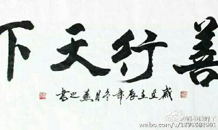 太阳成集团tyc7111cc_大量澳洲毒蜘蛛险入境(图1) 太阳成tyc7111