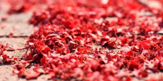 太阳成集团tyc7111cc_如果能重来一次 你是选择生孩子还是买保时捷(图3) 太阳成集团tyc7111cc