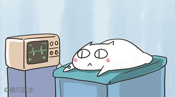 李开复:自动驾驶看好共享租车公司非传统车