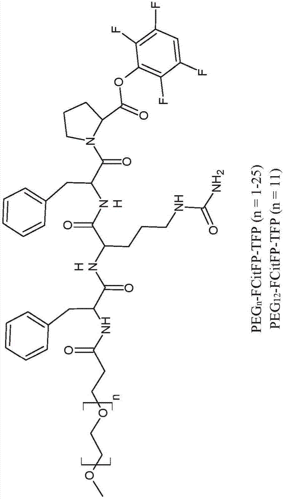 ‘太阳成tyc7111cc’2016年10月25日“全国农产品批发价格指数”比昨天下降0.18个点(图3) 太阳成tyc7111cc