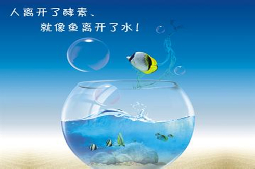 太阳成tyc7111
